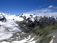AU, Tirol, Sankt Leonhard, Pitztalerjoch, Saxifraga-Jan Boersema